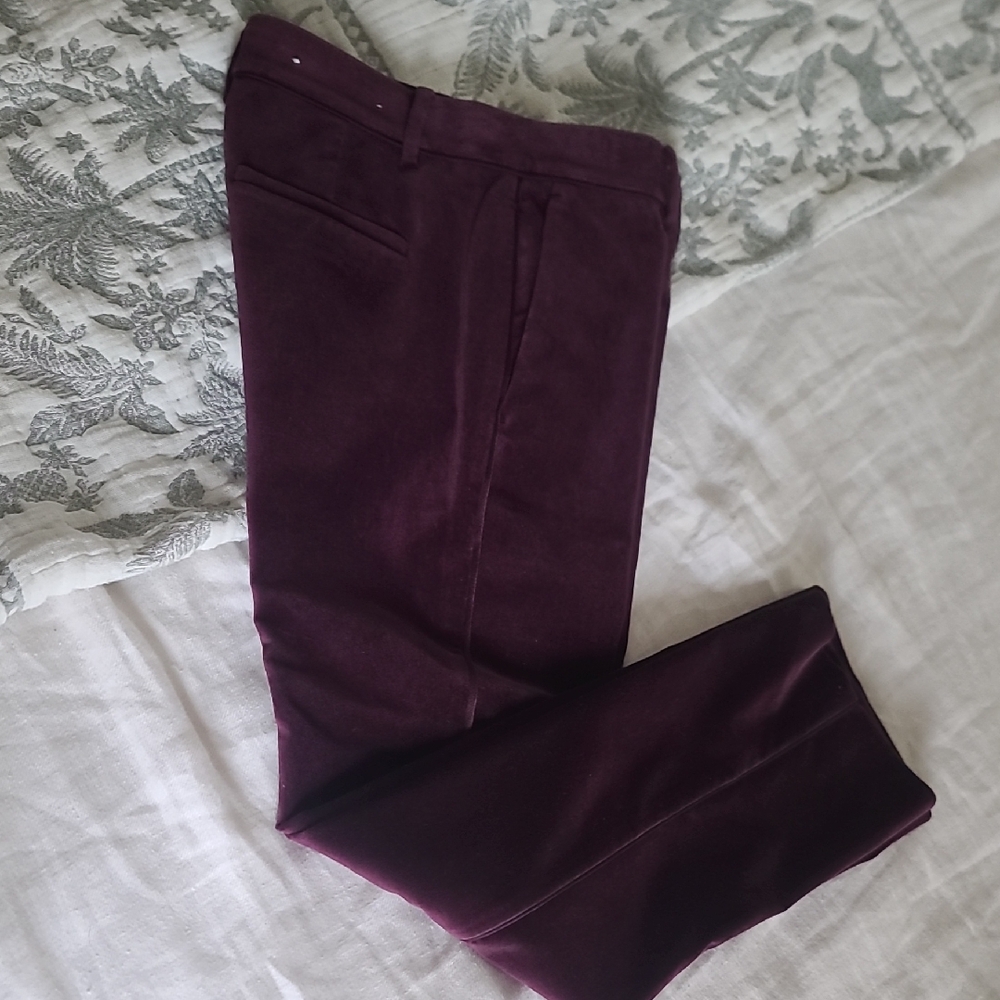 Ann Taylor Women's Devin Fit Velvet Work Pants